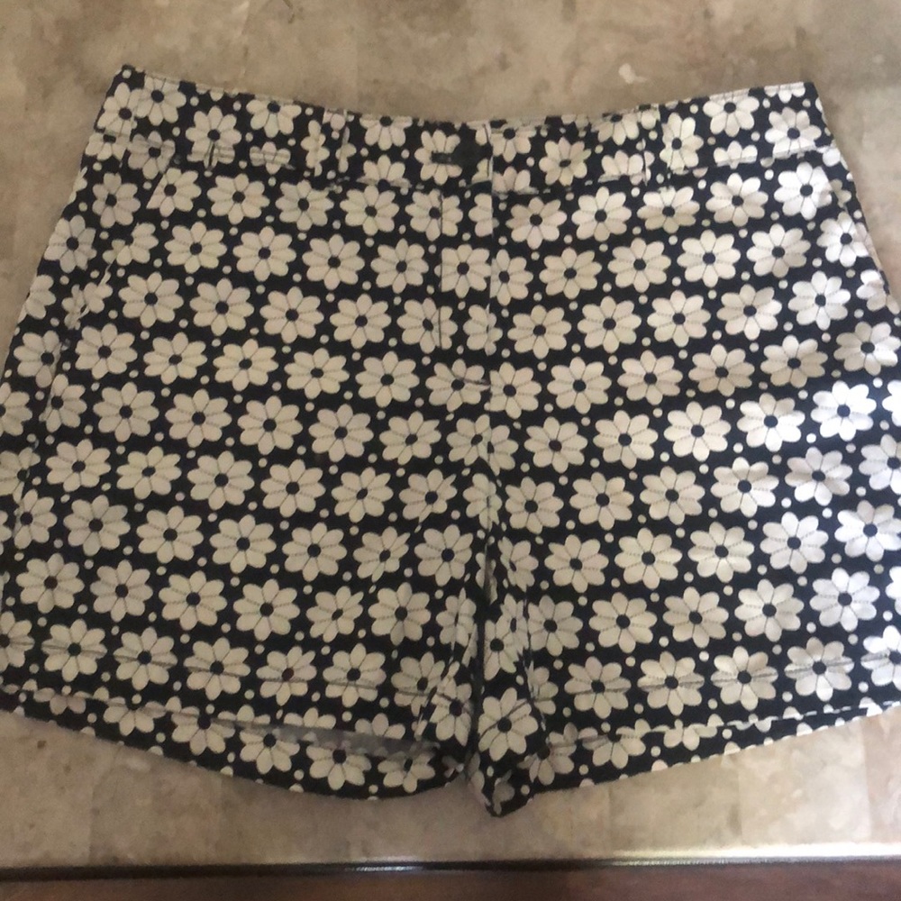 Ann Taylor loft shorts 12